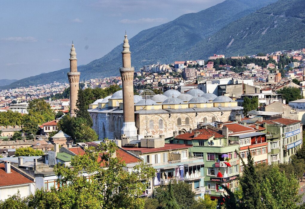 bursa